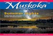 Muskoka Night Sky