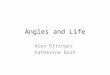 Angles And Life