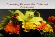 Choosing flowers for different occasions