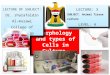 morphology and types of cells in culture lecture 3