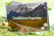 Argentina+ani (nx power lite)