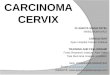 Ca cervix—standards of care