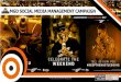 MGD Social Media Management Case Study