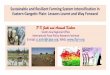 IFPRI - Sustainable and Resilient Farming System Intensification in Eastern Gangetic Plain: Lessons Learnt and Way Forward - SFRFSI -P K Joshi