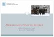 Maarja Kristian, Veterinary and Food Board, Estonia, African swine fever in Estonia