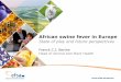 Franck Berthe, EFSA -  African swine fever in Europe