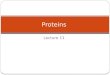 Proteins lecture 11