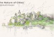 Dustin Bajer, The Nature of Cities