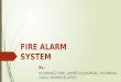 Fire alarm system and common types of detectors
