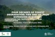 Four decades of forest degradation: Fire And oil palm expansion in Borneo