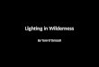 Lighting in wilderness