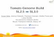 Tomato Genome Build SL3.0
