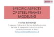 Specific aspects of steel frames modeling