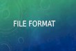 Lecture 3 file format