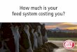 How much is your feed system costing you?