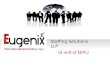 Business Profile- Eugenix Staffing Solutions LLP (1)