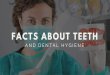 Facts About Teeth & Dental Hygiene
