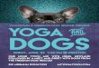 Yoga and Dogs Poster