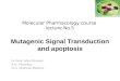 Mutagenic signal transduction (5)