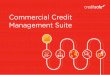 The Creditsafe Commercial Credit Managment Suite