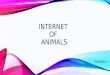 Internet of Animals | Internet of Things