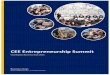 CEE Entrepreneurship Summit 2015 - presentation of the project - v1 (eng)