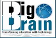 Big Brain (ZW) - Online learning