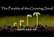 Parable of the Seed Growing!