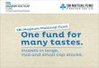 SBI Magnum Multicap Fund: An Open-ended Growth Scheme  - March 17