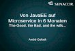 Von JavaEE auf Microservice in 6 Monaten - The Good, the Bad, and the wtfs