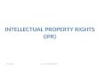Intellectual property-rights-ipr