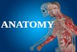 Austin Journal of Anatomy