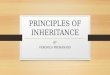 principle of inheritance