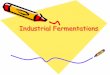 Industrial fermentations