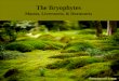 The Bryophytes