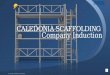 Caledonia Scaffolding Company Induction