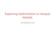 Exploring Optimization in Vowpal Wabbit
