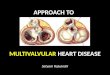 Clinical approach to multi valvular heart disease