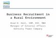 Business Recruitment in a Rural Environment