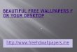 Beautiful free wallpapers for your desktop