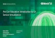Introduction to CA Service Virtualization
