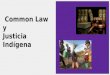 Common law y  justicia indígena
