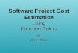 Software Project Cost Estimation