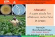 "Aflasafe: a case study for aflatoxin reduction in crops "