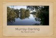 The Murray Darling River