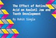 Research Day Presentation - Ro - Effect of RA on Jaw and Tooth Development of Axolotl Salamanders-3