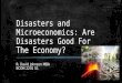 Disasters and Microeconomics