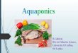 Aquaponics, gobi