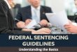Federal Sentencing Guidelines: Understanding the Basics