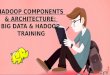 Big Data and Hadoop Components